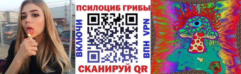 купить   Сегежа  Галлюциногенные грибы GOLDEN TEACHER 